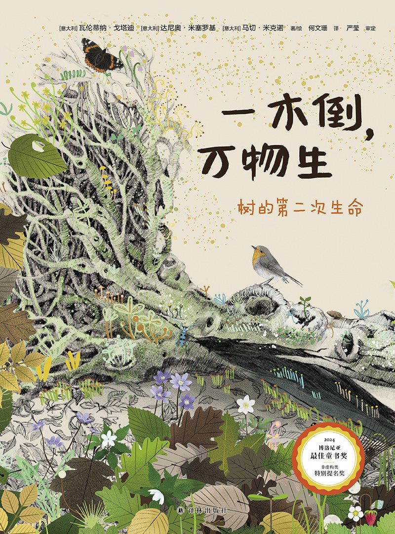 一木倒，万物生：树的第二次生命